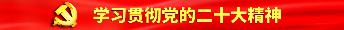 高清无码超级大鸡巴操胖美女电影认真学习贯彻落实党的二十大会议精神